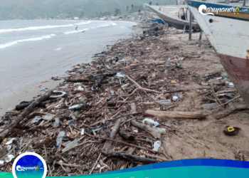 Desidia gubernamental amenaza la vida marina en «Playa Arriba» del Morro de Puerto Santo en el Municipio Arismendi. (+FOTOS + VIDEO)