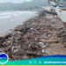 Desidia gubernamental amenaza la vida marina en «Playa Arriba» del Morro de Puerto Santo en el Municipio Arismendi. (+FOTOS + VIDEO)