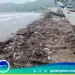 Desidia gubernamental amenaza la vida marina en «Playa Arriba» del Morro de Puerto Santo en el Municipio Arismendi. (+FOTOS + VIDEO)