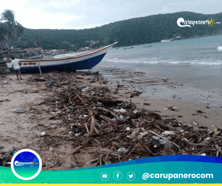 Desidia gubernamental amenaza la vida marina en «Playa Arriba» del Morro de Puerto Santo en el Municipio Arismendi. (+FOTOS + VIDEO)