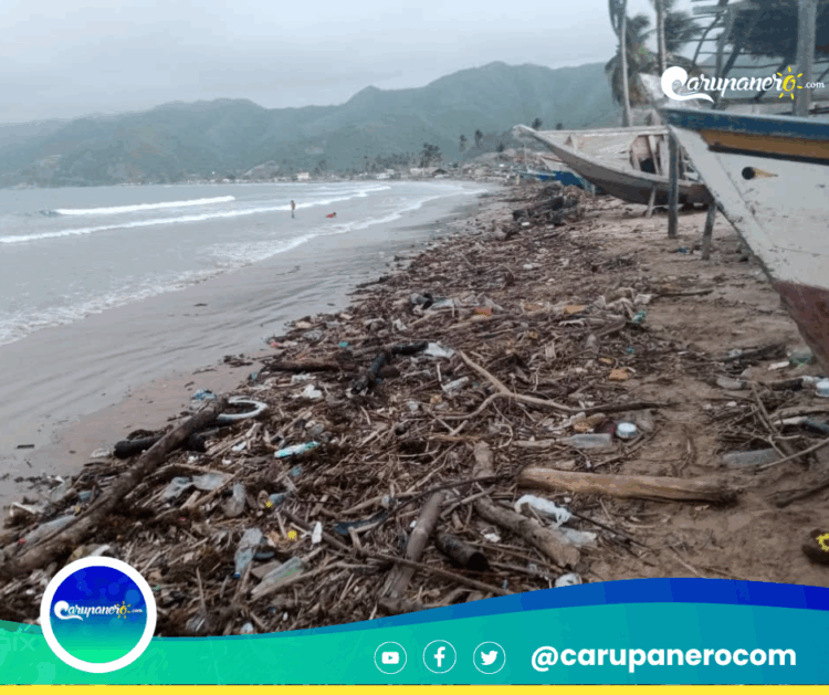 Desidia gubernamental amenaza la vida marina en «Playa Arriba» del Morro de Puerto Santo en el Municipio Arismendi. (+FOTOS + VIDEO)