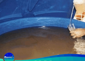 Preocupante Calidad del Agua  para la Salud de los Ribereños.