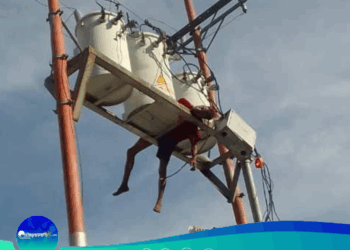 Trágico Final para un Joven en Maturín: Intento de Hurto de Cables Eléctricos Termina en Fatalidad