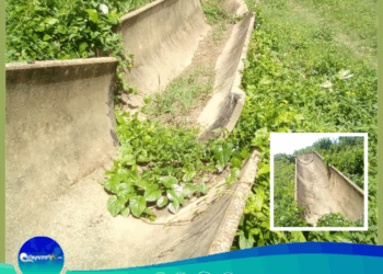 Productores Agrícolas de Cariaco, Sucre: Clamor ante el Total Abandono del Sistema de Riego