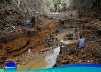«El Dorado Sangriento: Ecocidio y Crimen en el Arco Minero del Orinoco»
