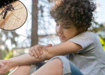 Comunidades del Morro y adyacencias en Arismendi solicitan fumigación urgente ante brote de dengue.