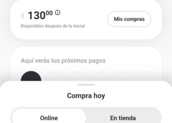 Cashea: La Revolución del Crédito en Venezuela