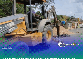 REPARACION COLECTORES