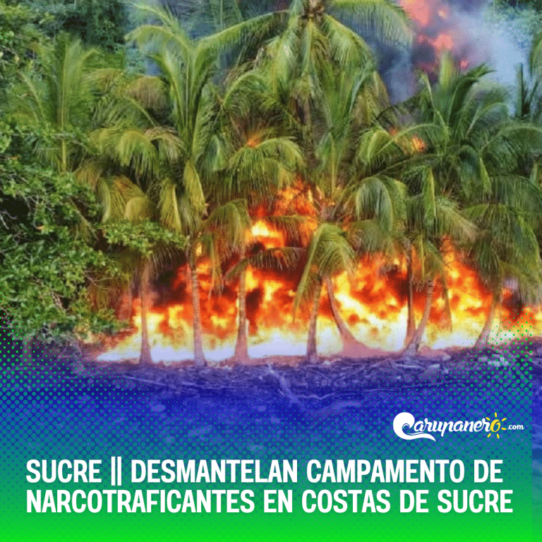 Desmantelan campamento de narcotraficantes en costas de Sucre