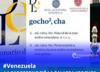 gochos