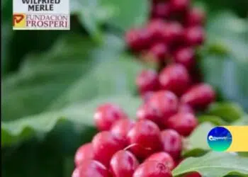 fundación prosperi vivero wilfried merle