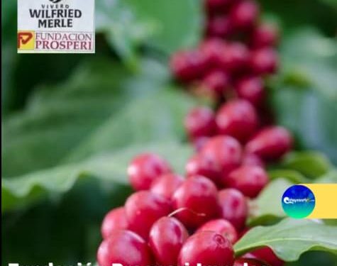 fundación prosperi vivero wilfried merle