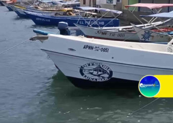 juventud consejo de pesca