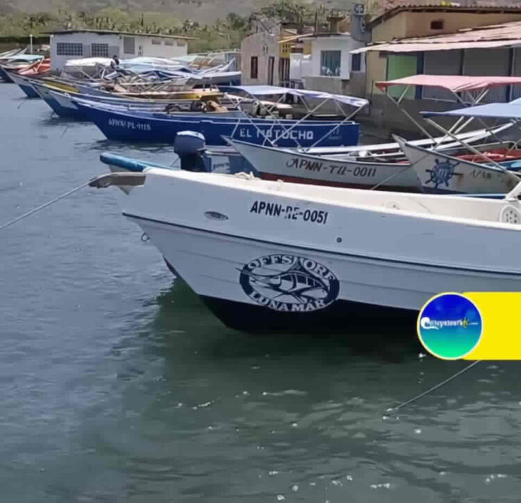 juventud consejo de pesca