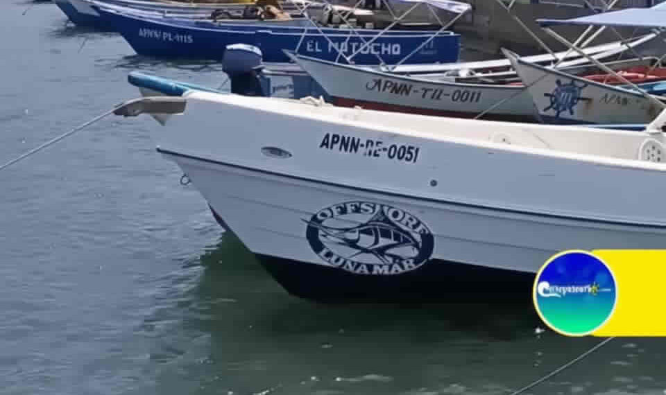 juventud consejo de pesca