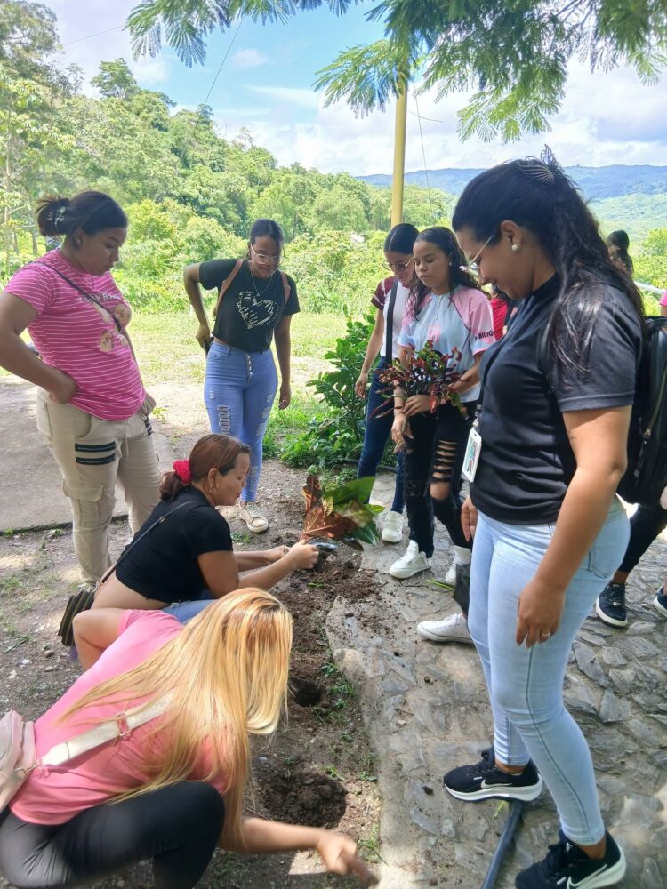 Plan Chuquisaca: Siembran más de 300 plantas en Benítez, Sucre